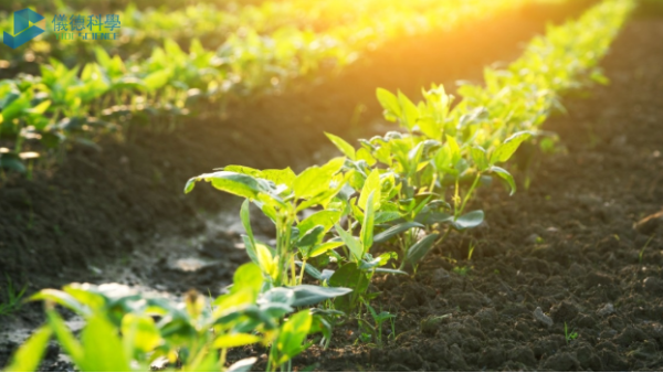 手持式RoHS測(cè)試儀在土壤重金屬污染及修復(fù)的檢測(cè)應(yīng)用